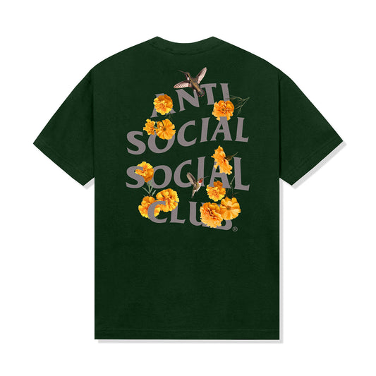 Trochilidae Tee - Dark green