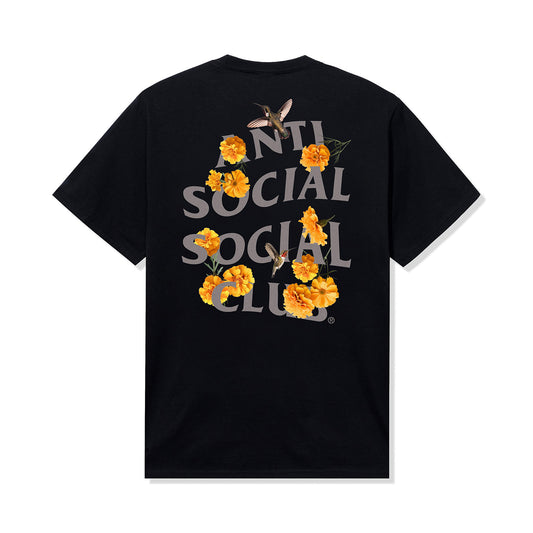 Trochilidae Tee - Black